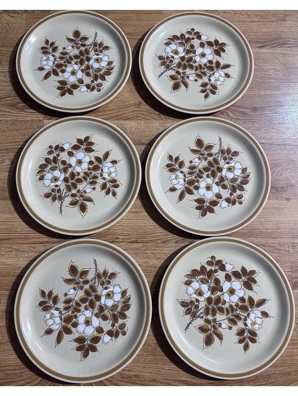 Lot of 6 Vintage Ekco Eterna Autumn Meadow Stoneware cottage core dinner plates